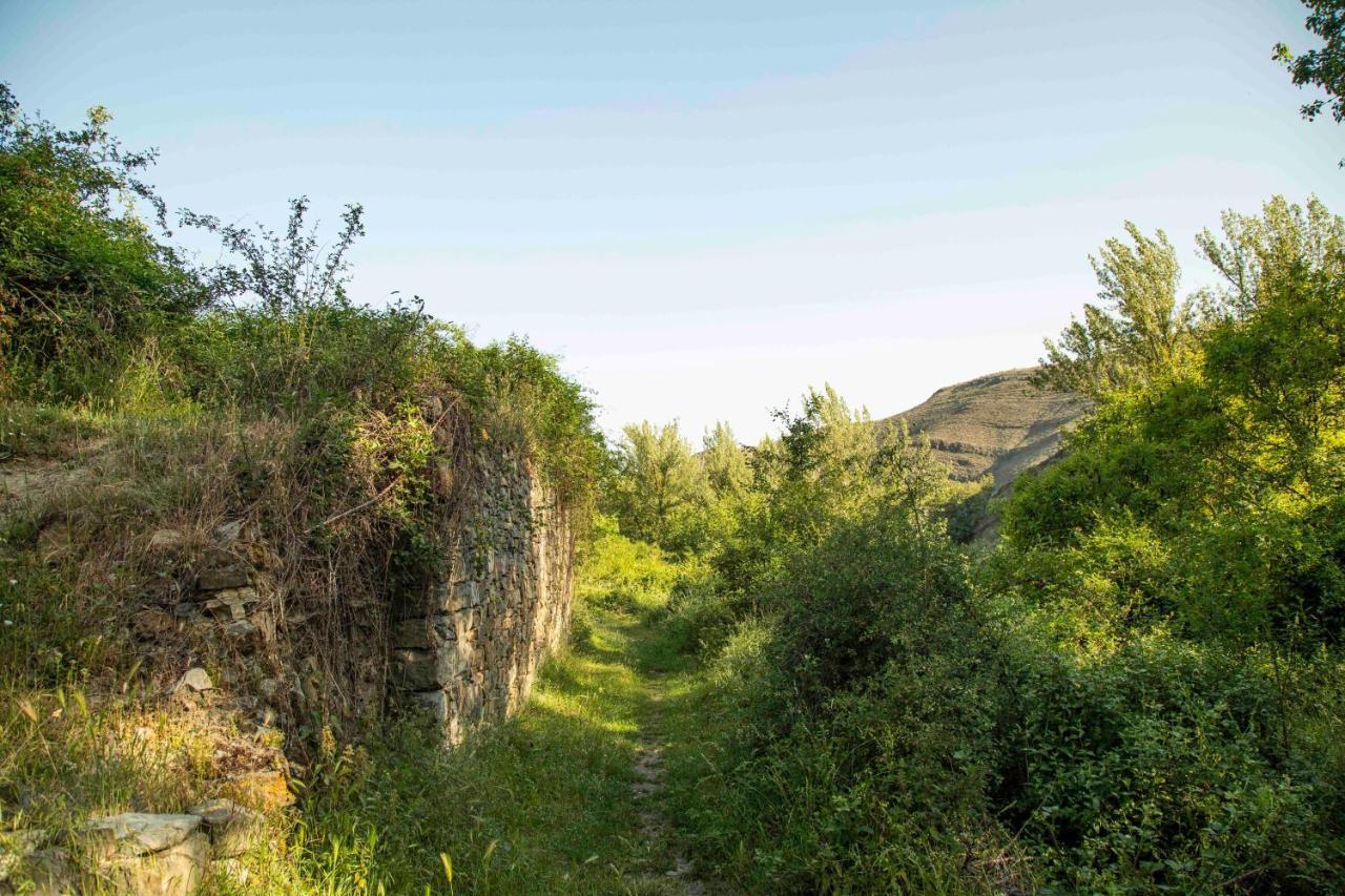 Casa Rural El Huerto De La Fragua Pension Enciso Buitenkant foto