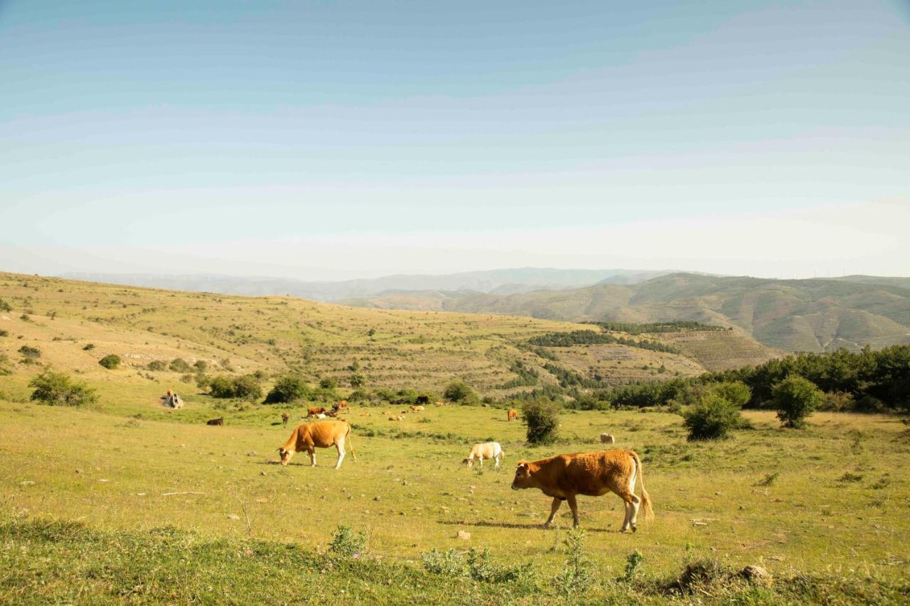 Casa Rural El Huerto De La Fragua Pension Enciso Buitenkant foto