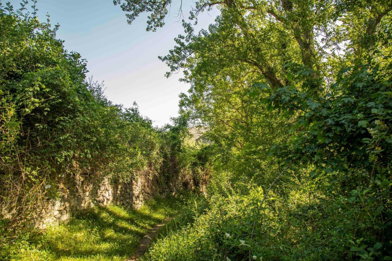 Casa Rural El Huerto De La Fragua Pension Enciso Buitenkant foto