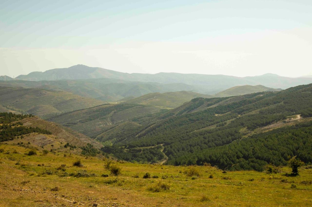 Casa Rural El Huerto De La Fragua Pension Enciso Buitenkant foto