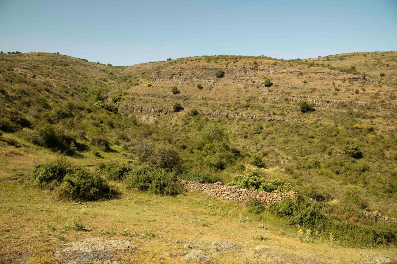 Casa Rural El Huerto De La Fragua Pension Enciso Buitenkant foto